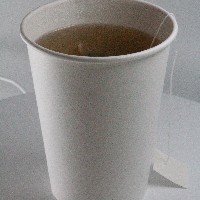 (카페) 그린티