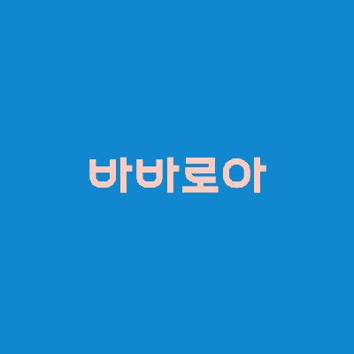 성남중앙지하도상가 바바로아